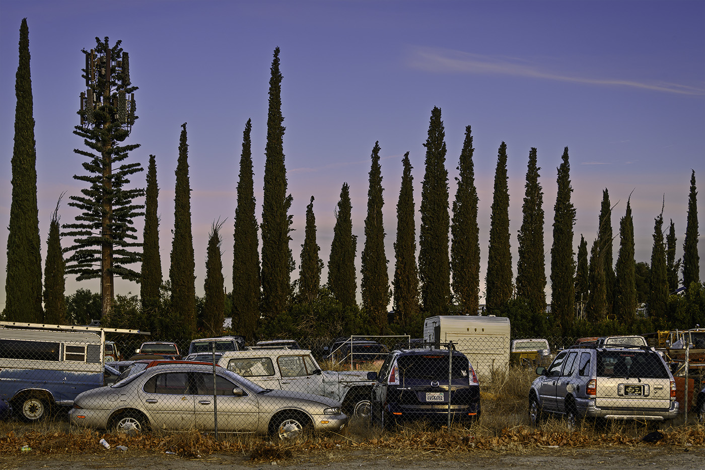 Fauxliage - Cypress Row, Littlerock, CA