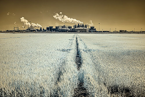 Power Grab, Calipatria